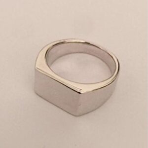 Fine Jewelry 14 Kt Hallmark  Solid White Gold Signet Ring Size 6-10