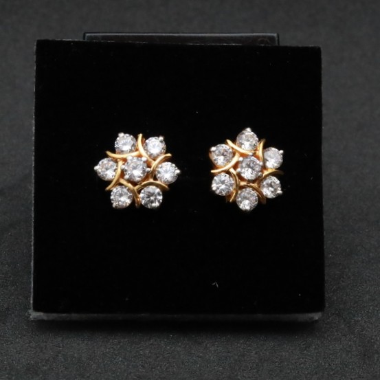 916 Earring ER6955