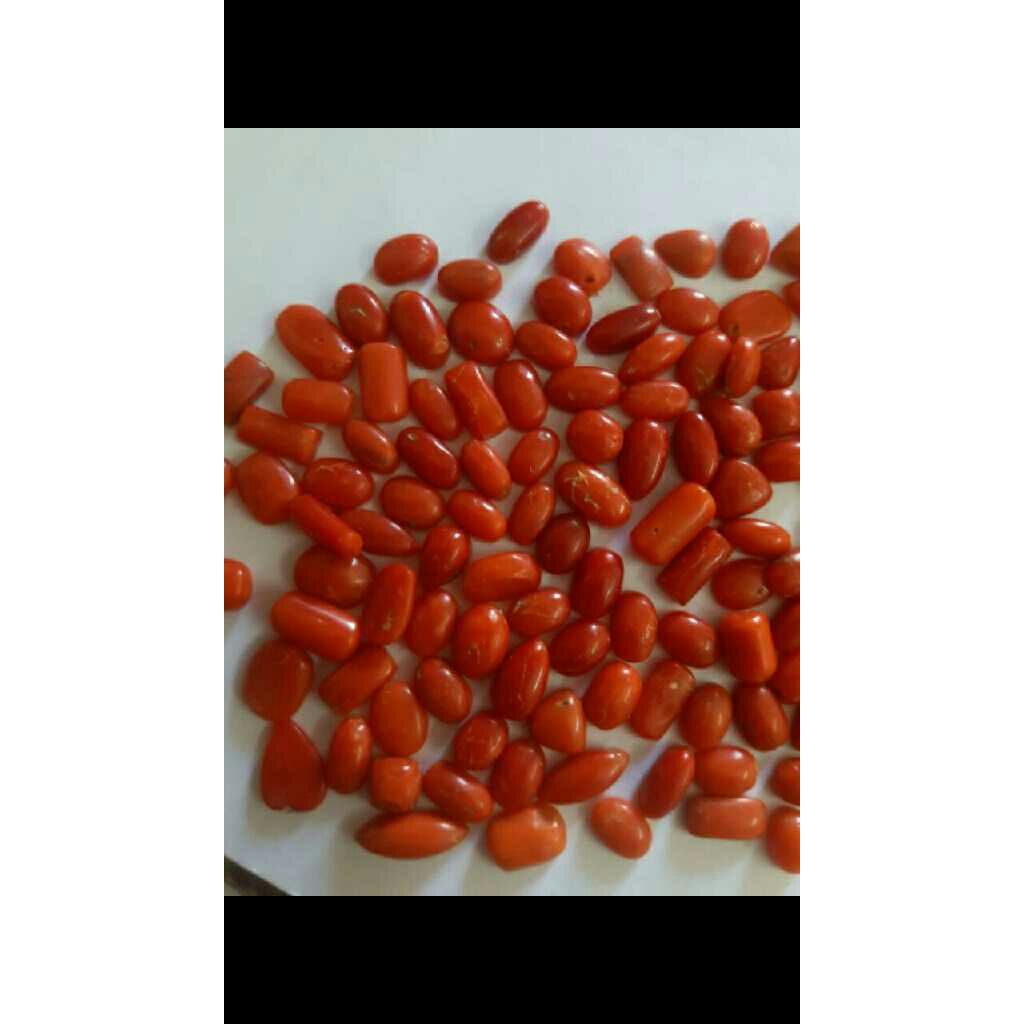 682ct oval red red-coral-mungaa