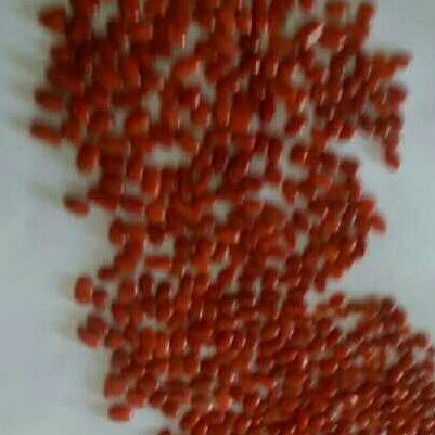 682ct oval red red-coral-mungaa