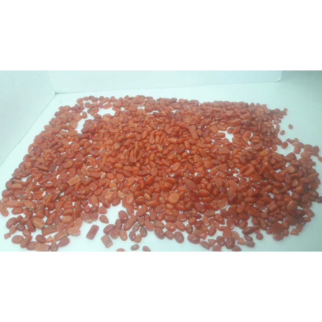 682ct oval red red-coral-mungaa