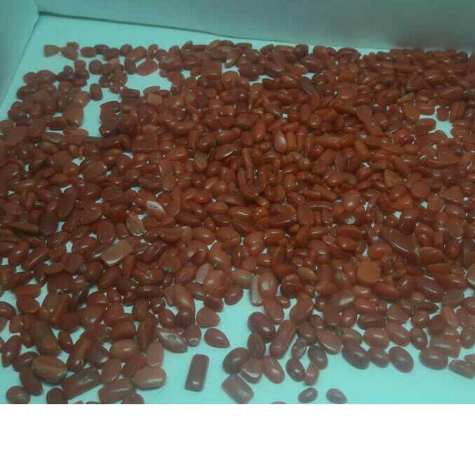682ct oval red red-coral-mungaa