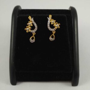 22 K Gold Earring NJ-E0121
