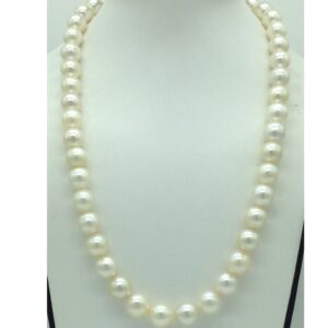 White Round South Sea Pearls Strand JPM0411