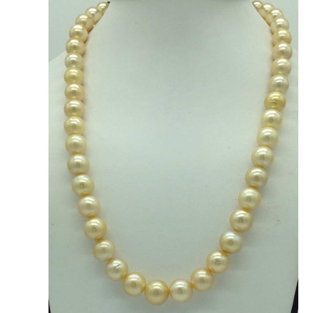 Golden Round South Sea Pearls Strand JPM0410