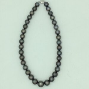 Grey Round Tahitian South Sea Pearls Strand JPM0407