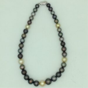 Muliticolour Round Tahitian South Sea Pearls Strand JPM0402