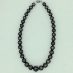Black Round Tahitian South Sea Pearls Strand JPM0401