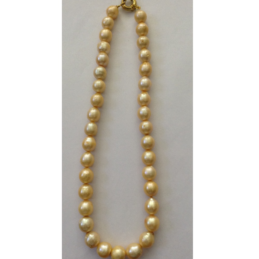 Freshwater golden round natural pearls strand JPM0053