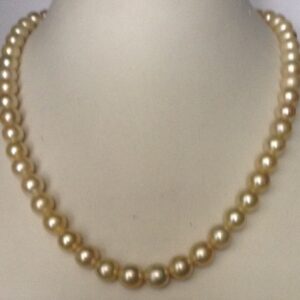 Cream Sea Water Cultured Pearls Strand JPM0009