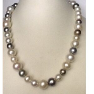 Multi Colour South Sea Pearls Strand JPM0007