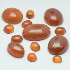 93.200ct oval other carnelian