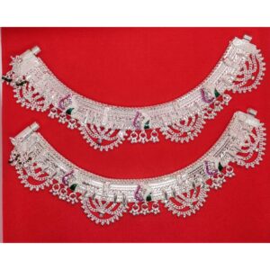 Rajavadi Payal