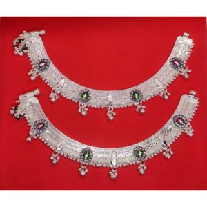 Rajavadi Payal