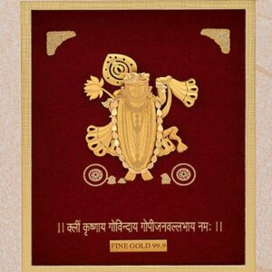 (20X25 CM) God shrinath ji divine photo frame 24 k gold