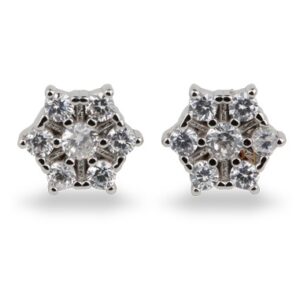 Glorious Stud Earrings