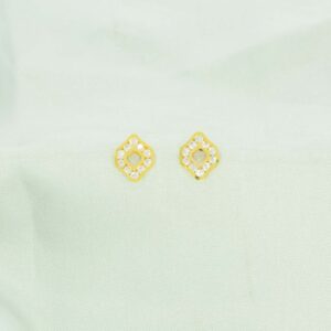 Glorious Stone Ear Studs Design