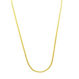 The 22kt Gold Chain