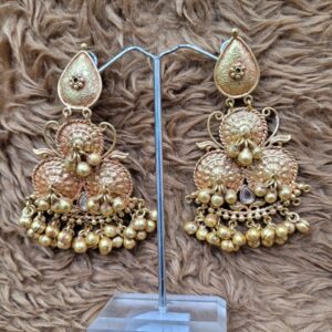Elegant Earrings For Women SJE24