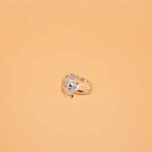 925 Silver Delicate Gents Ring 1378R4
