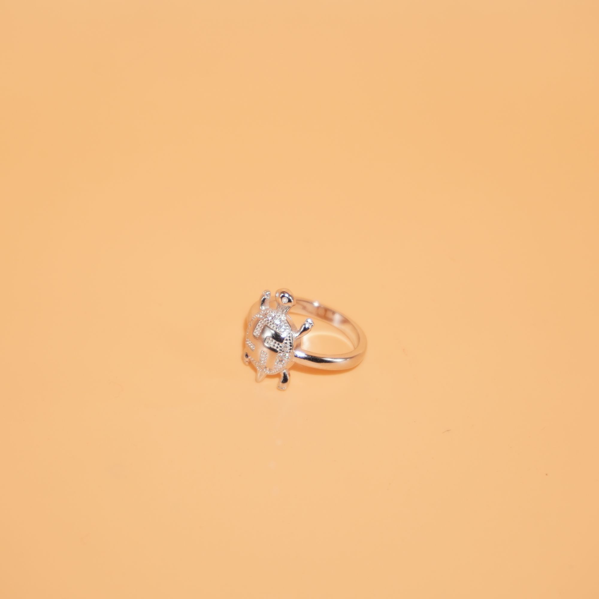 925 Silver Delicate Gents Ring 1378R4