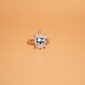 925 Silver Delicate Gents Ring 1378R4