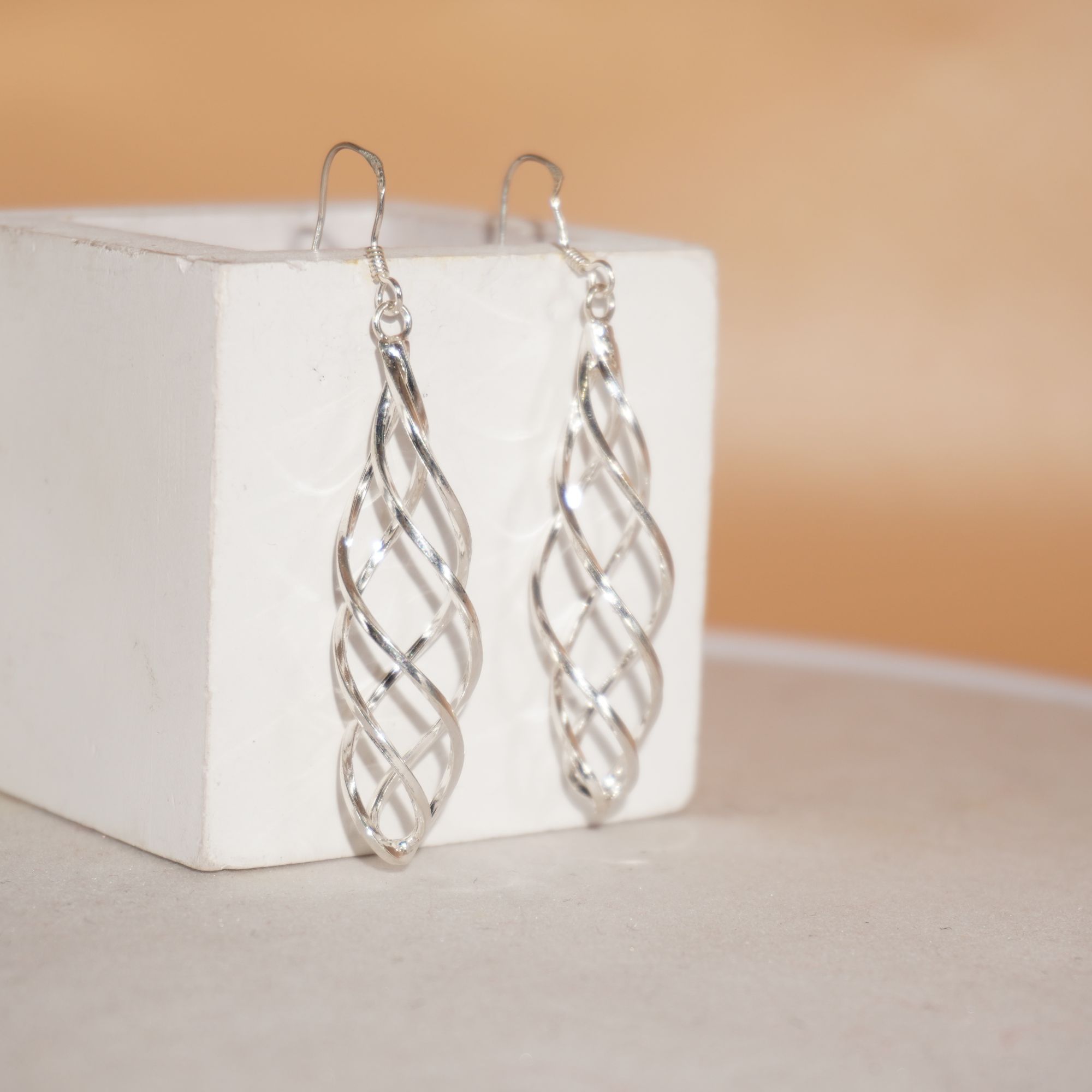 925 Silver Stylish Earrings