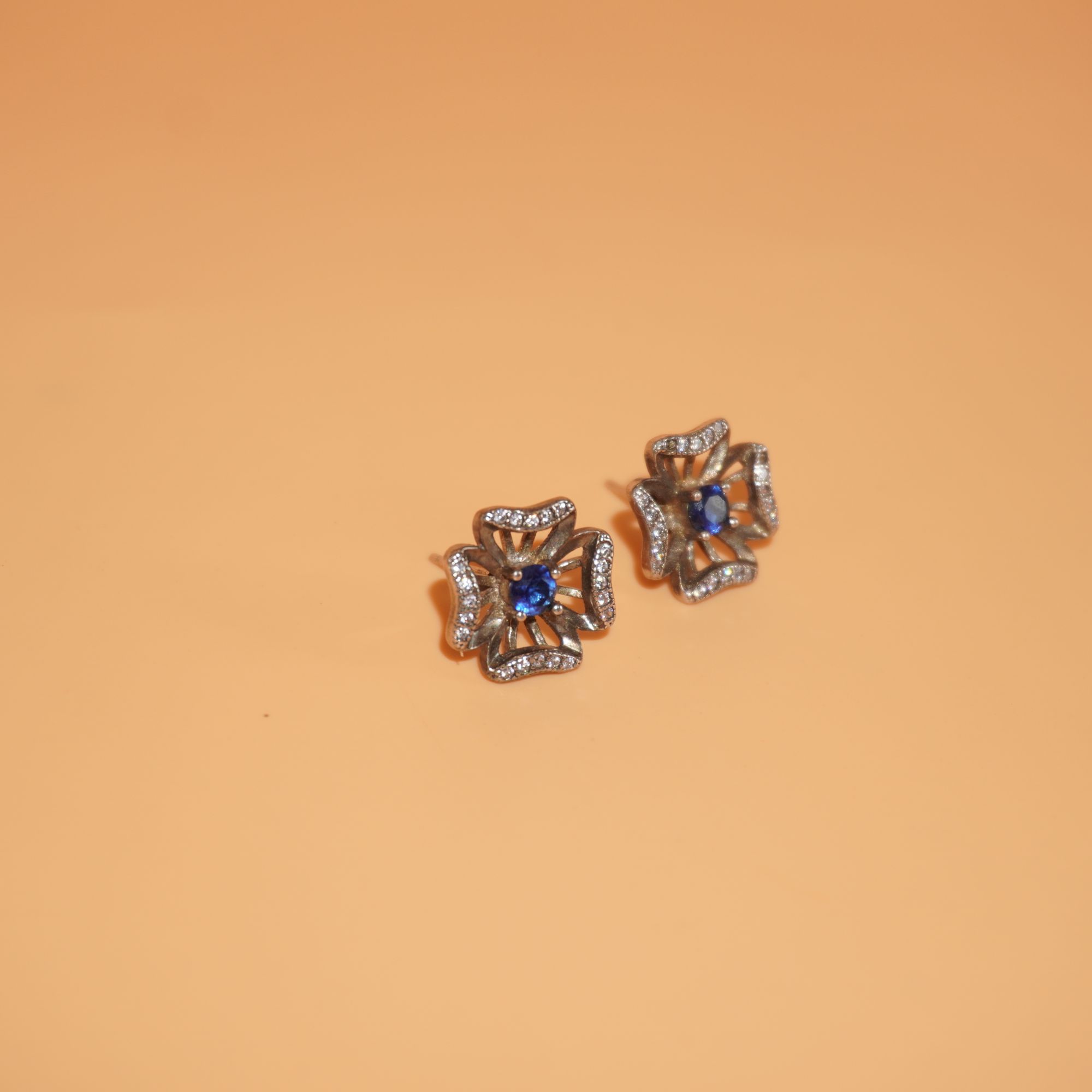 925 Silver Dazzling Earring 199R39