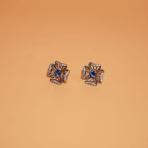 925 Silver Dazzling Earring 199R39