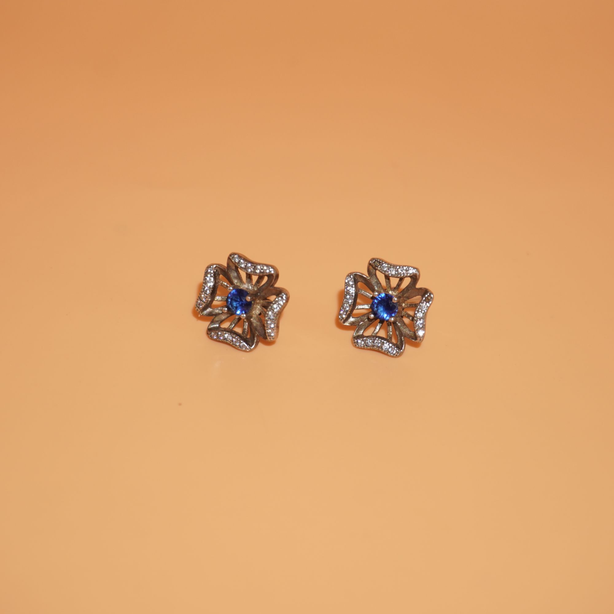 925 Silver Dazzling Earring 199R39