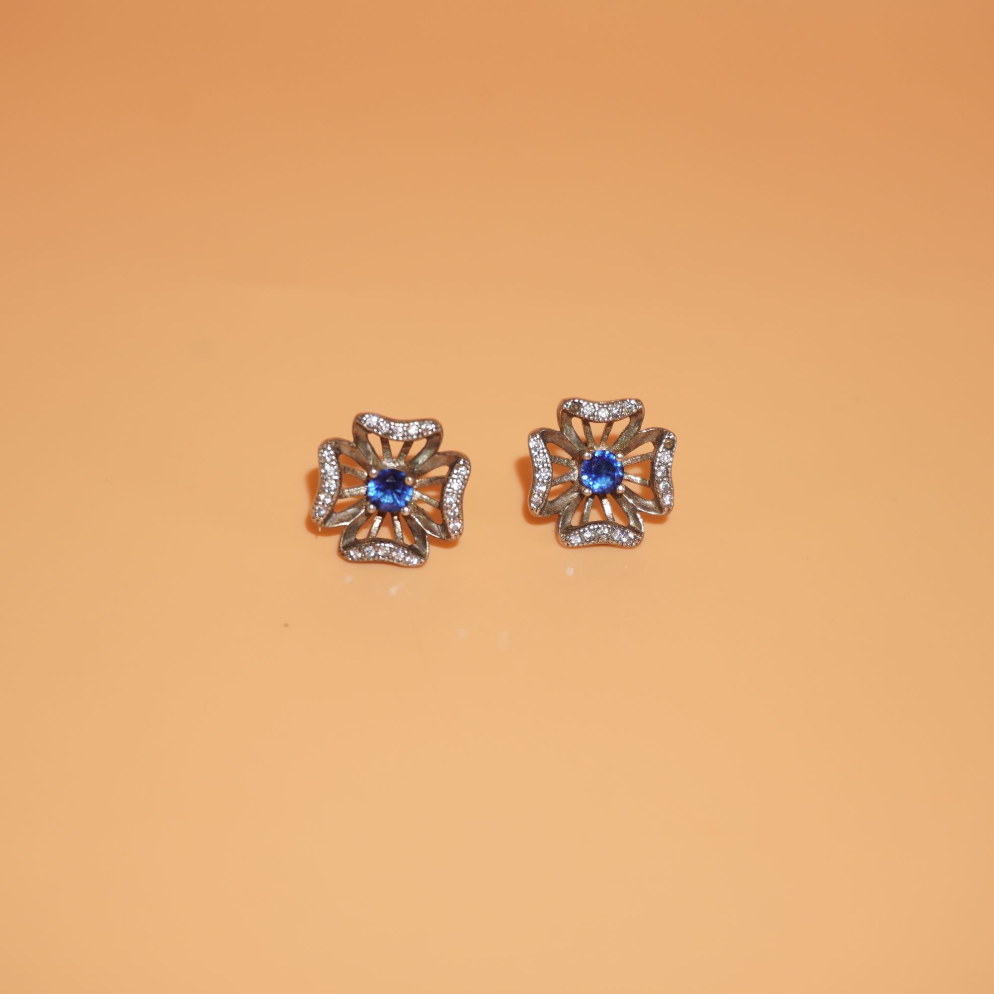 925 Silver Dazzling Earring 199R39