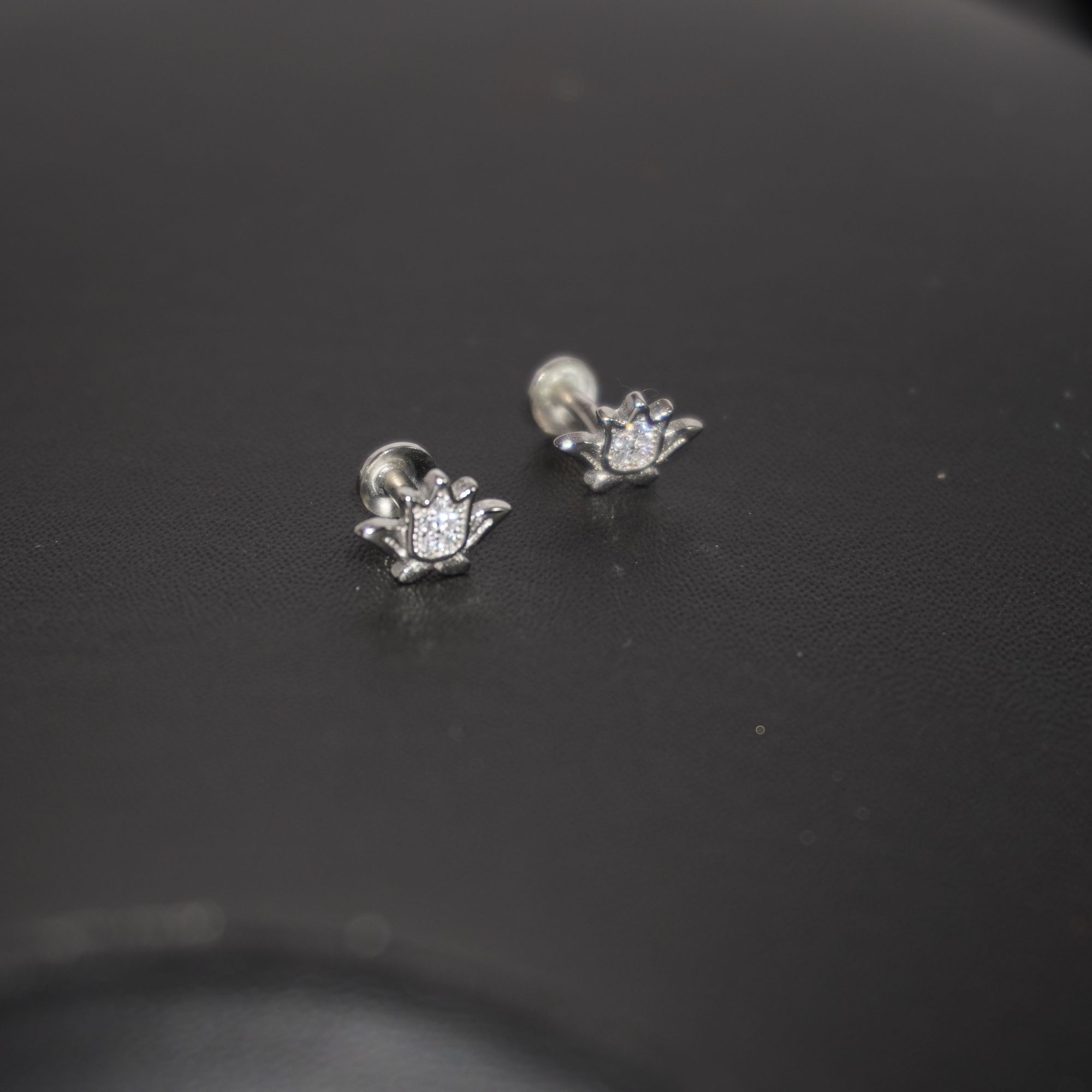 925 Silver Fancy Tops Earring 166R28