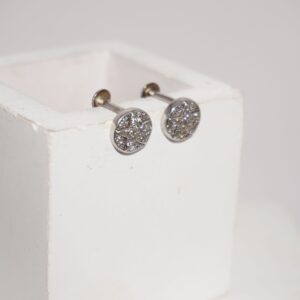 925 Silver Trending Tops Earring 199R40