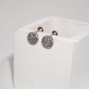 925 Silver Trending Tops Earring 199R40