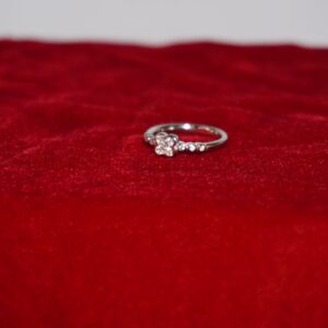 925 Silver Gorgeous Studed Ring 763R14