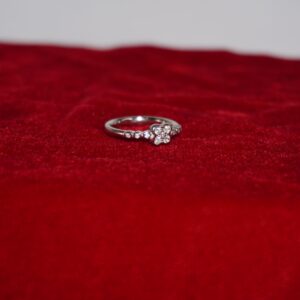 925 Silver Gorgeous Studed Ring 763R14
