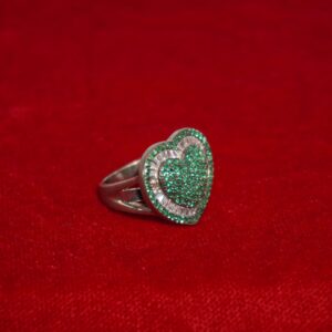 925 Silver Trending Ladies Ring 195R61