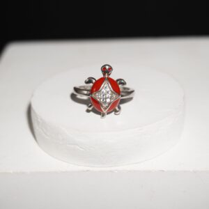 925 Silver Gorgeous Ladies Ring