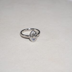 925 Silver Gorgeous Ring