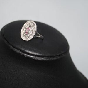 925 Silver Dazzling Ladies Ring 876R4