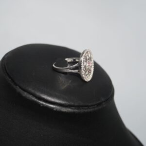 925 Silver Dazzling Ladies Ring 876R4