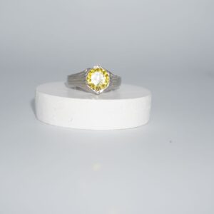 925 Silver Fancy Plain Ring 274R158