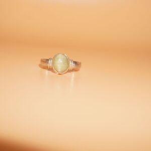 925 Silver Elegant Men Ring 222R56