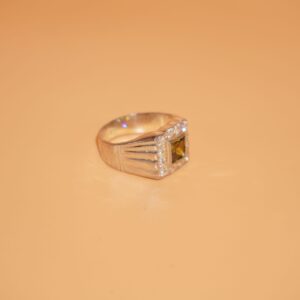 925 Silver Delicate Men Ring 274R147