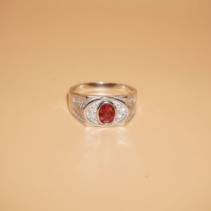 925 Silver Classy Ring 720R24