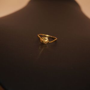 22k Gold Fancy Plain Ring 259R42