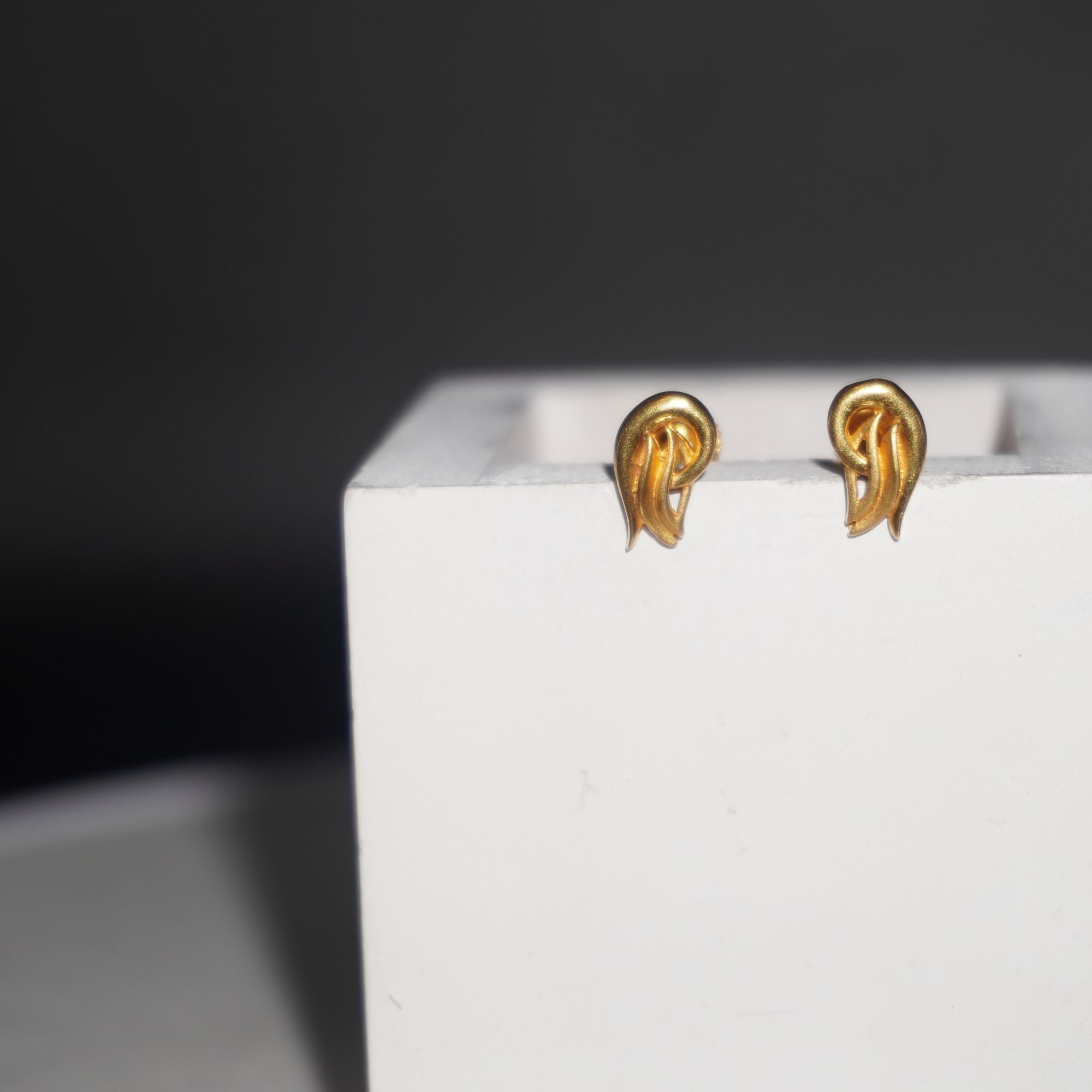 Gold Elegant Plain Earrings 36R488