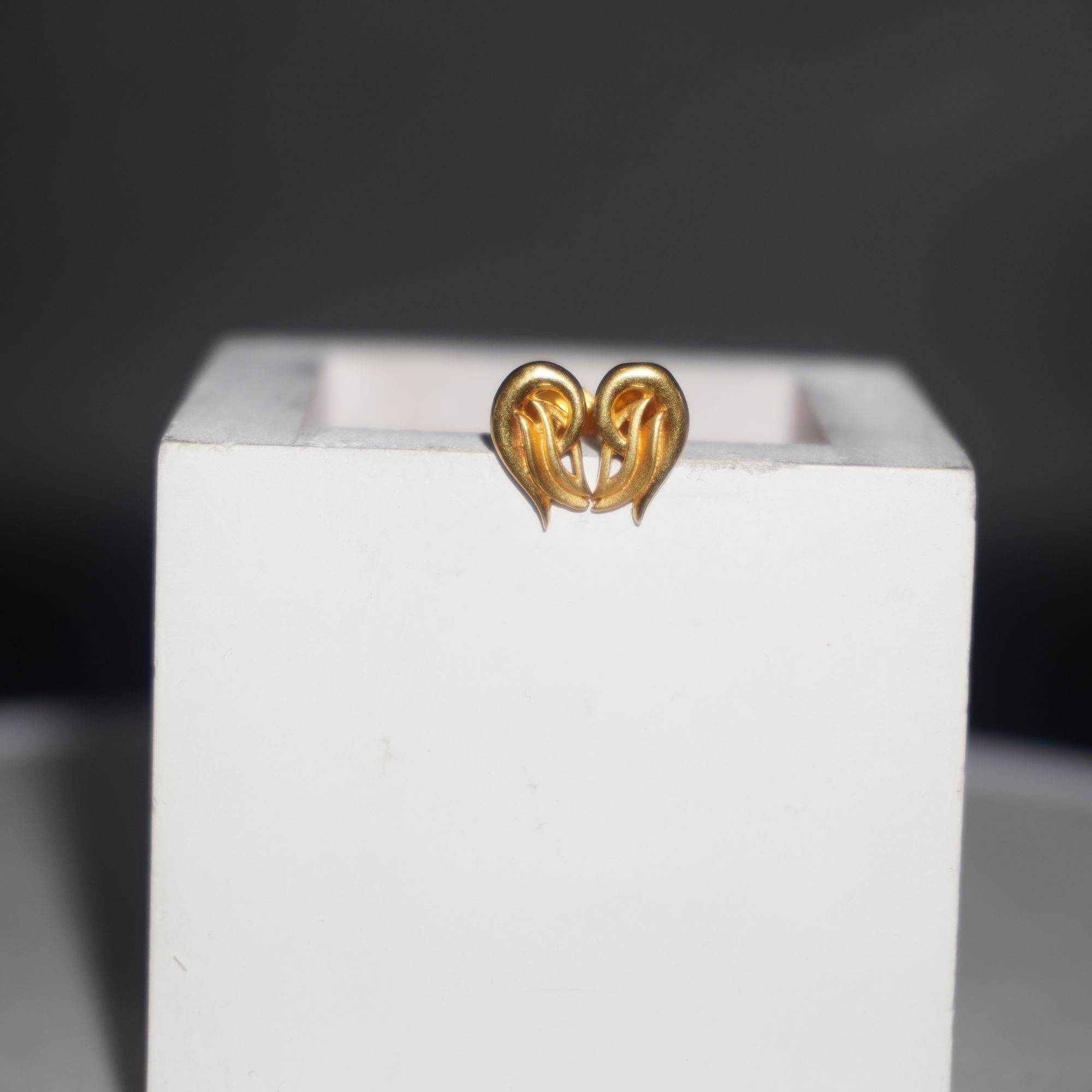 Gold Elegant Plain Earrings 36R488