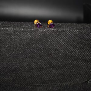 Regal Plain Gold Earrings 73R288