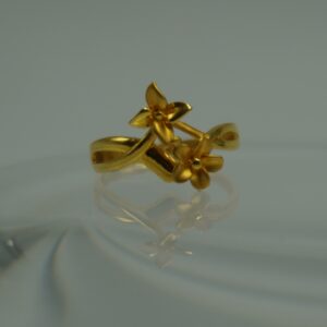 Gold Fancy Ring